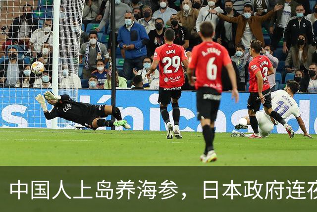 中国人上岛养海参，日本政府连夜破大防！