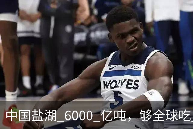 中国盐湖 6000 亿吨，够全球吃 1000 年，为啥重兵常年守？