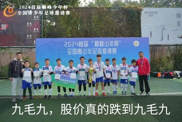 九毛九，股价真的跌到九毛九