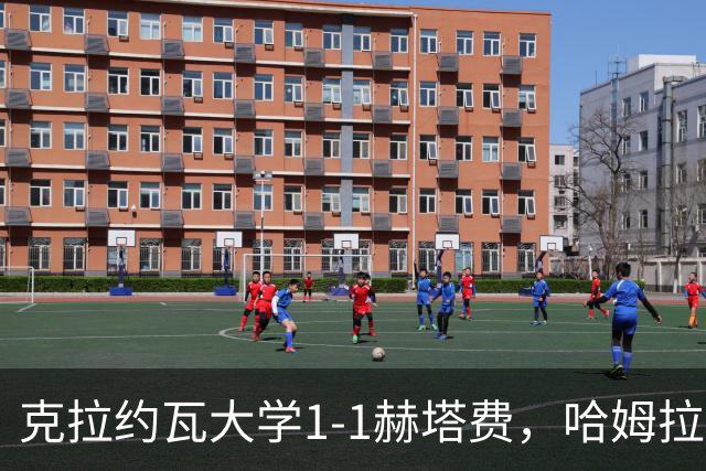 克拉约瓦大学1-1赫塔费，哈姆拉维首开记录，古德利扳平比分