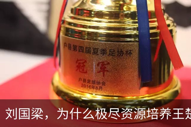刘国梁，为什么极尽资源培养王楚钦