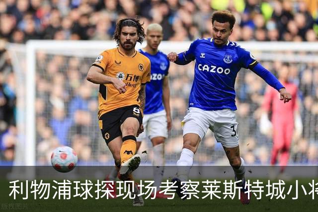 利物浦球探现场考察莱斯特城小将路易斯·佩奇