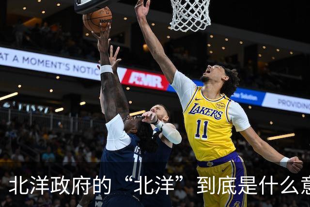 北洋政府的“北洋”到底是什么意思？不是北方洋人的意思