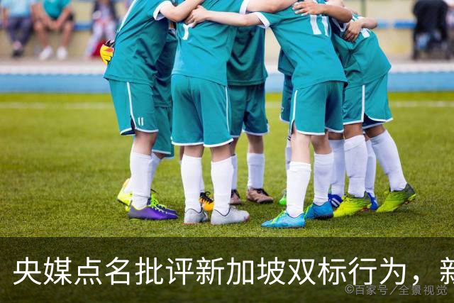 央媒点名批评新加坡双标行为，新加坡防长：中国要以德服人