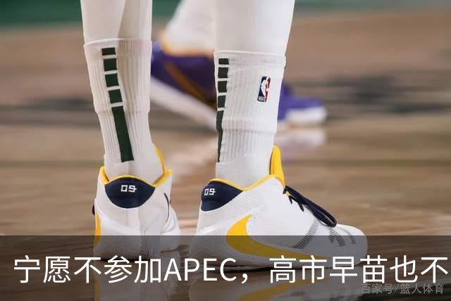 宁愿不参加APEC，高市早苗也不收回那句话，所有访华努力全部白费