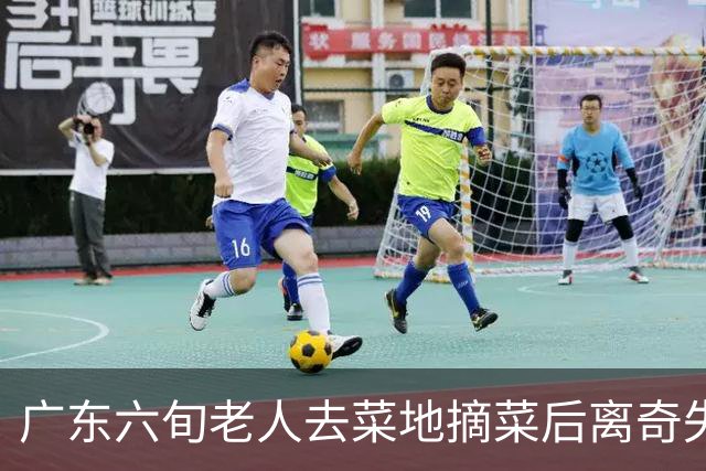 广东六旬老人去菜地摘菜后离奇失踪！结果竟在地下7米处被拉出……