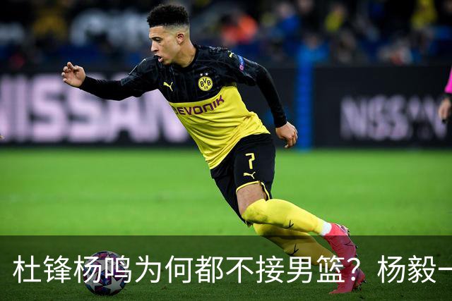 杜锋杨鸣为何都不接男篮？杨毅一句话点透，郭士强继续带着队伍