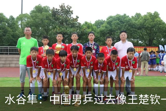 水谷隼：中国男乒过去像王楚钦一样的选手有五六个，如今只依赖他一人