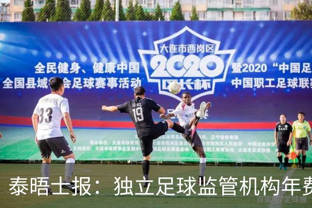 泰晤士报：独立足球监管机构年费2000万镑，英超出大头