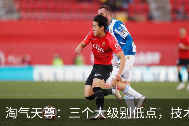 淘气天尊：三个大级别低点，技术上可抄底！
