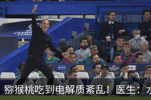 猕猴桃吃到电解质紊乱！医生：水果有益也不能“岔倒吃”