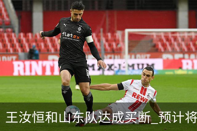 王汝恒和山东队达成买断 预计将加盟山西队