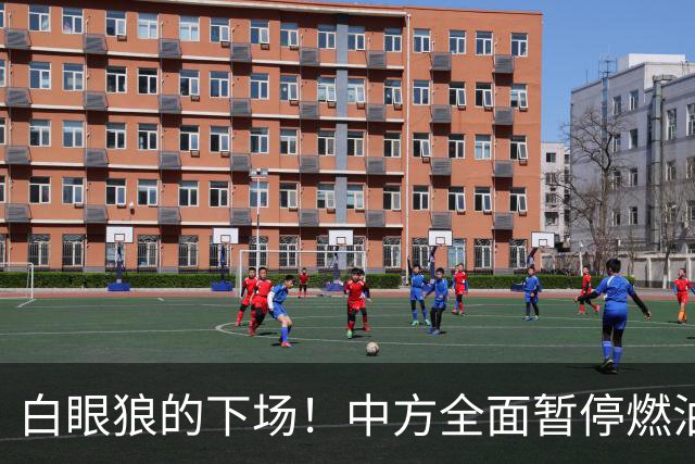白眼狼的下场！中方全面暂停燃油出口，菲律宾直接自乱阵脚