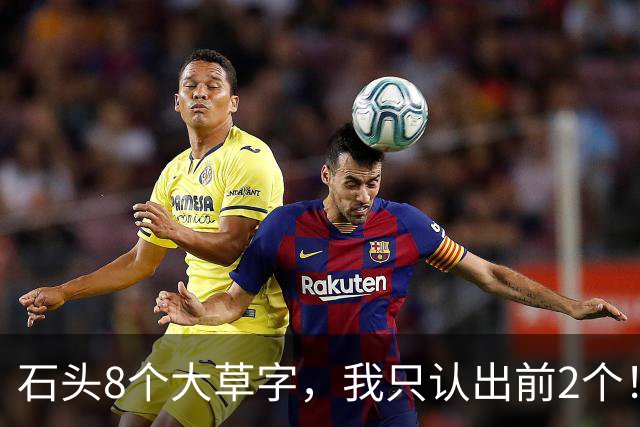 石头8个大草字，我只认出前2个！认全的值得竖大拇指。为何一句草书，常被一个生僻字拦腰截断？