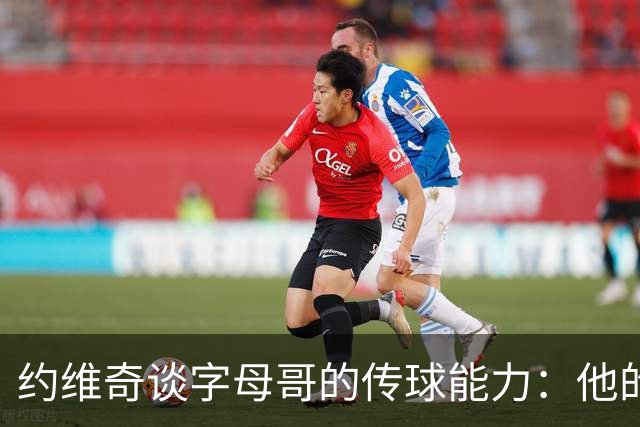 约维奇谈字母哥的传球能力：他的传球出神入化 拥有惊人的视野