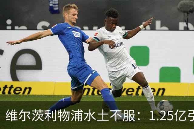维尔茨利物浦水土不服：1.25亿引援为何沦为谜？