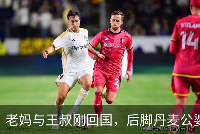 老妈与王叔刚回国，后脚丹麦公婆搬入迷歌家，原因不只是因为孤单