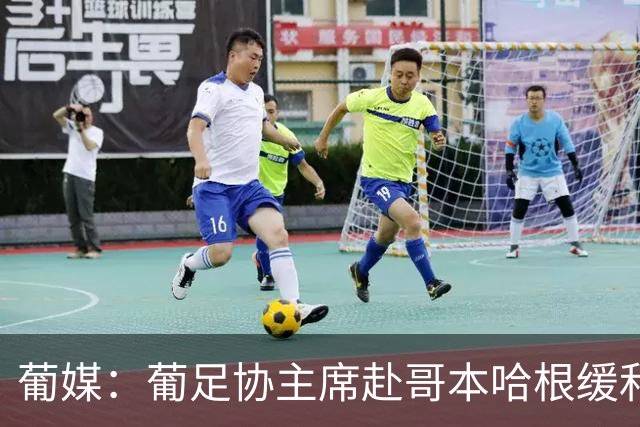 葡媒：葡足协主席赴哥本哈根缓和C罗与热苏斯矛盾