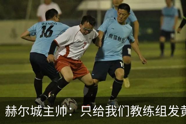 赫尔城主帅：只给我们教练组发黄牌却不警告纽卡，我觉得不太公平