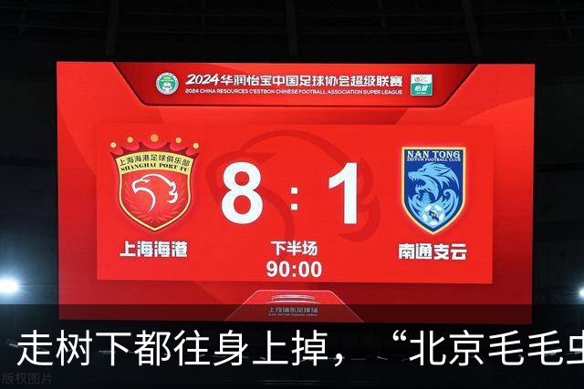走树下都往身上掉，“北京毛毛虫”冲上热搜！华北一年可繁殖2-3代，北京市园林局：发现“虫情”可打12345
