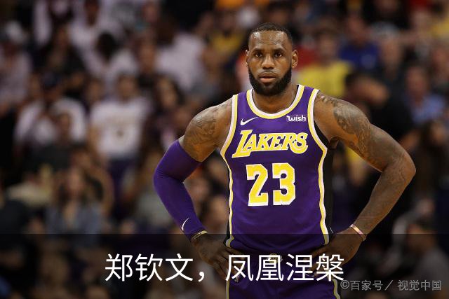 郑钦文，凤凰涅槃