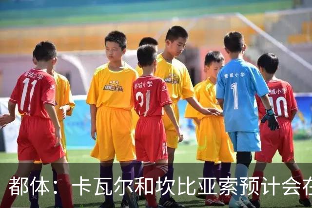 都体：卡瓦尔和坎比亚索预计会在国际比赛日后伤愈归队