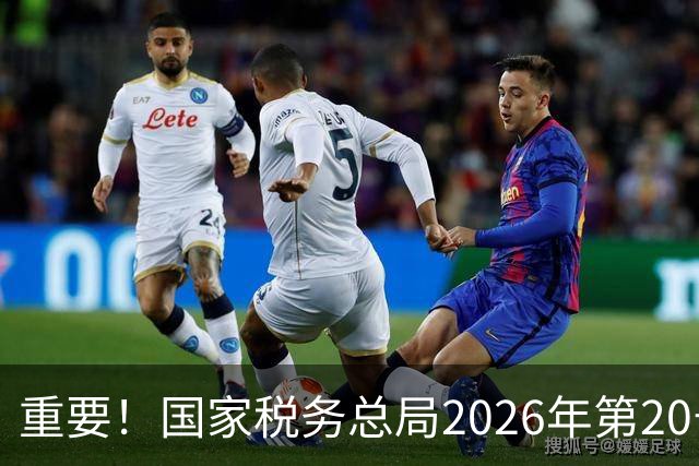 重要！国家税务总局2026年第20号公告，自11月1日起施行