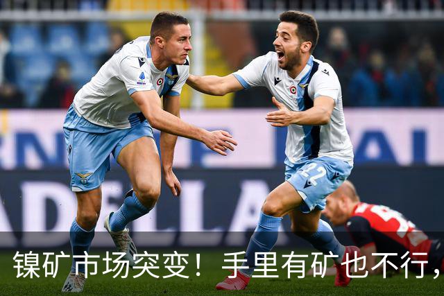 镍矿市场突变！手里有矿也不行，外媒：印尼“抄作业”翻车了！