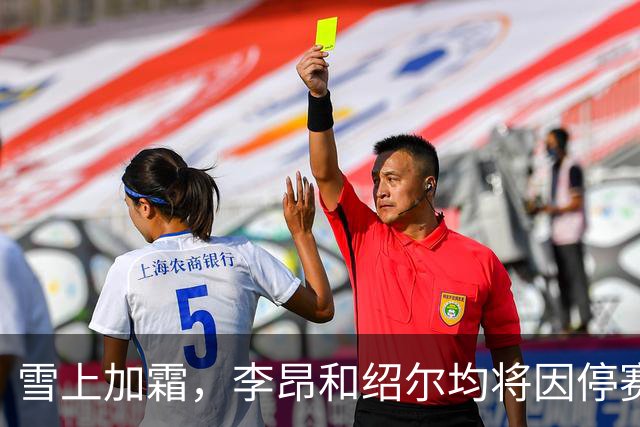 雪上加霜，李昂和绍尔均将因停赛无缘出战与铁人的6分之战