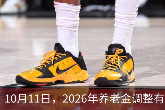 10月11日，2026年养老金调整有动静了吗？有两组数据很关键，看看
